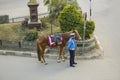 A police patrolman and his horse are at a crossroads