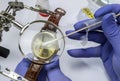 Police scientist working in Criminalistic Lab, victim clock analysis for murder