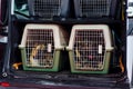 Police Service Dogs in dog cages Royalty Free Stock Photo