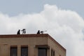 Police snipers with rifles on a roof top