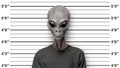 Police-style mugshot of an extraterrestrial being with grey skin and big eyes wearing t-shirt against height measurement ruler in