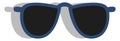 Police sunglasses, icon Royalty Free Stock Photo