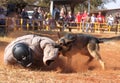 Police trained Alsatian dog, take padded running man down in sho Royalty Free Stock Photo