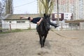 Police trainer doing acrobatic exercises on his horse