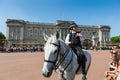 Police woman on a horse Royalty Free Stock Photo