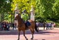 Police woman on horseback on The Mall, street in front of Buckingham Palace in London Royalty Free Stock Photo