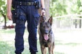 Policeman with Belgian Malinois police dog Royalty Free Stock Photo