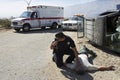 Policeman Checking Pulse Of Car Crash Victim Royalty Free Stock Photo