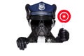 Policeman dog with stop sign