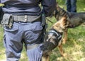 Policeman with German shepherd police dog Royalty Free Stock Photo