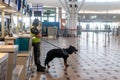 A police with his dog at the airport Royalty Free Stock Photo