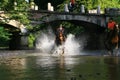 Policeman on horseback into the river with water spray