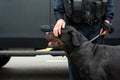 Policeman patting a police dog