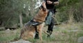 Policeman, sniffer dog or patrol a crime scene on field, first responder or law enforcement for investigation in k9 unit