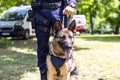 Policeman in uniform on duty with a K9 canine German shepherd police dog Royalty Free Stock Photo