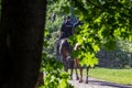 Policemen riding horse in the public park, back side view. Walking around famous places of Moscow. Royalty Free Stock Photo