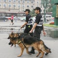 Policemen with their dogs in tianfu square,chengdu,china