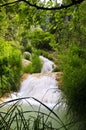 Polilimnio waterfall,peloponnese, greece Royalty Free Stock Photo