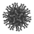 Poliovirus, bound to the poliovirus receptor PV, CD155. Atomic-level structure