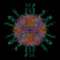 Structure of human poliovirus serotype 1