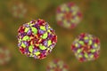 Poliovirus, an RNA virus that causes polio disease