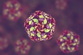 Poliovirus, an RNA virus that causes polio disease