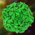 Poliovirus, a virus transmitted by drinking water and causing polio Royalty Free Stock Photo