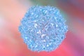 Poliovirus, a virus transmitted by drinking water and causing polio Royalty Free Stock Photo