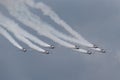 Polish Air Force PZL-Okecie PZL-130 TC-1 Orlik turboprop, single engine, two seat trainer aircraft flying in formation.