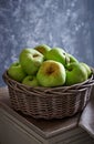 Polish Antonowka Apples in a Rustic Basket