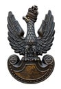 Polish Army insignia eagle Royalty Free Stock Photo