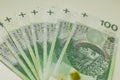 Polish banknotes - paper currency background. Royalty Free Stock Photo