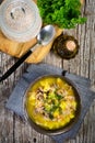 Polish barley soup with vegetables and chicken heart Royalty Free Stock Photo