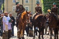 Polish cavalry during annual of Polish national and public holiday