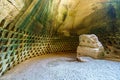 Polish Cave, ancient columbarium with WWII Polish inscription. Bet Guvrin