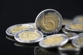 Polish coins macro shot Royalty Free Stock Photo