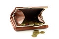 Polish coins in wallet Royalty Free Stock Photo