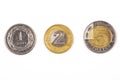 Polish coins Royalty Free Stock Photo