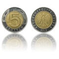 Polish currency 5zl coin isolated on white background with reflection Royalty Free Stock Photo