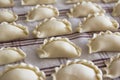Polish dumplings Royalty Free Stock Photo