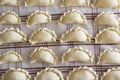 Polish dumplings Royalty Free Stock Photo