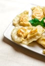 Polish dumplings