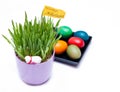 Polish easter decoration Royalty Free Stock Photo