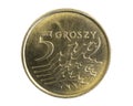 Polish five penny coin on a white isolated background