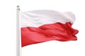 Polish Flag Set Against A White Background Royalty Free Stock Photo