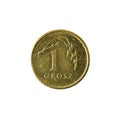 1 polish grosz coin 2010 obverse isolated on white background