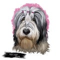 Polish Lowland Sheepdog dog portrait isolated. Digital art illustration of hand drawn dog for web, t-shirt print, puppy food cover