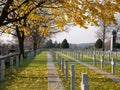 Polish military cemetery Cmentarz o nierzy Bitwy nad Bzur in Sochachew, Poland