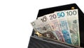Polish money in a black wallet, holding money in a wallet, 100 polish note,