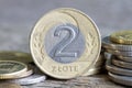 Polish money coins macro Royalty Free Stock Photo